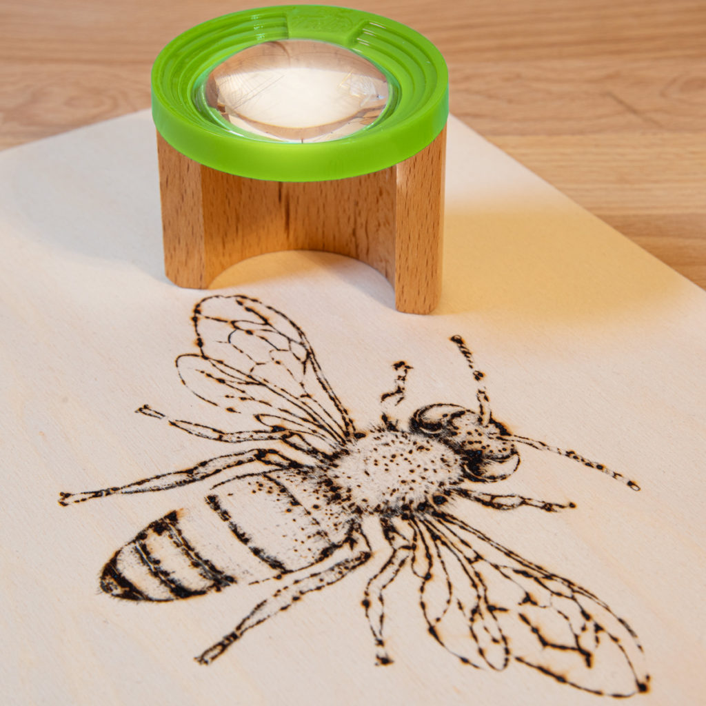 Best wood for solar pyrography